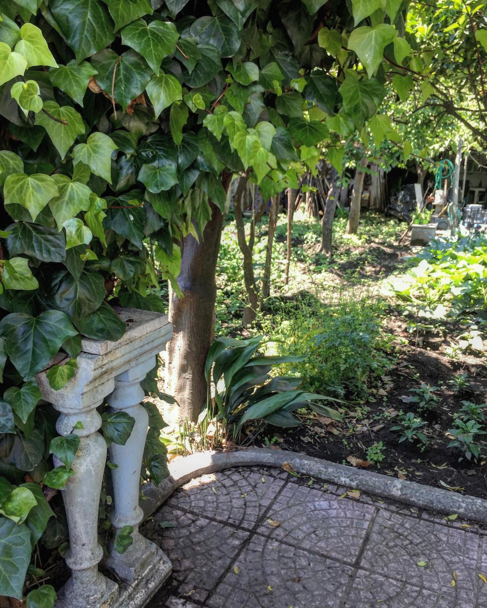 B&B Rectina Pompei Esterno foto